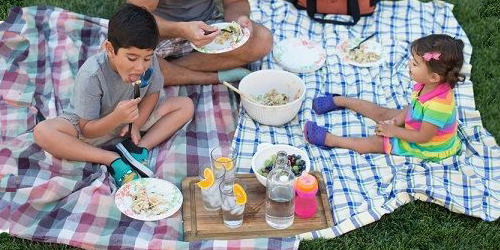 Packing a Family Picnic