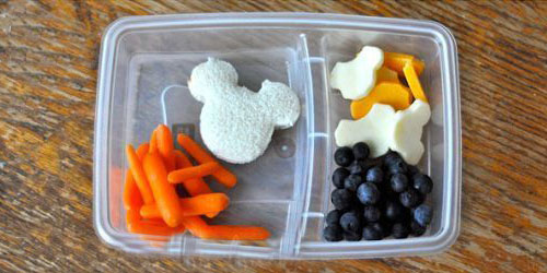 Snip-its kid approved lunch ideas
